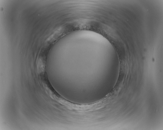 X0000060780039200511171254