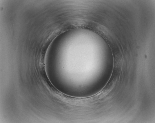 X0000060780040200511171254