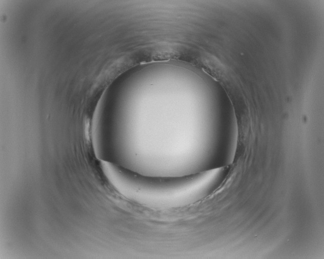 X0000060780041200511171254