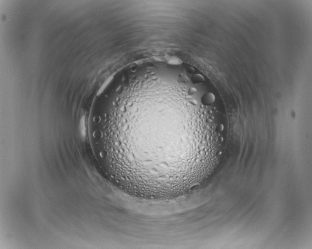 X0000060780042200511171254