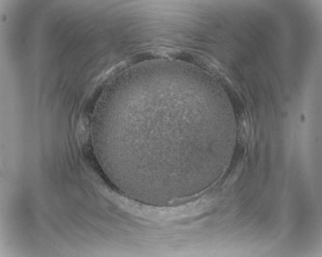 X0000060780043200511171254