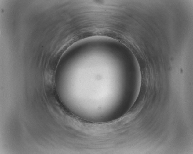 X0000060780044200511171254