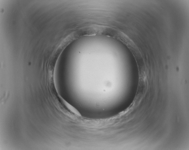 X0000060780045200511171254