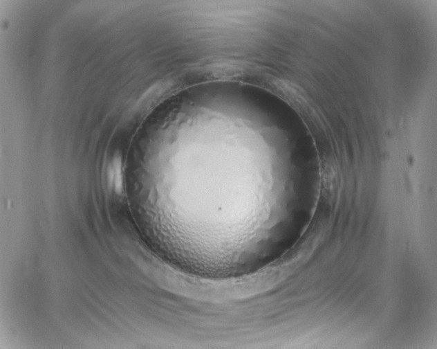 X0000060780046200511171254