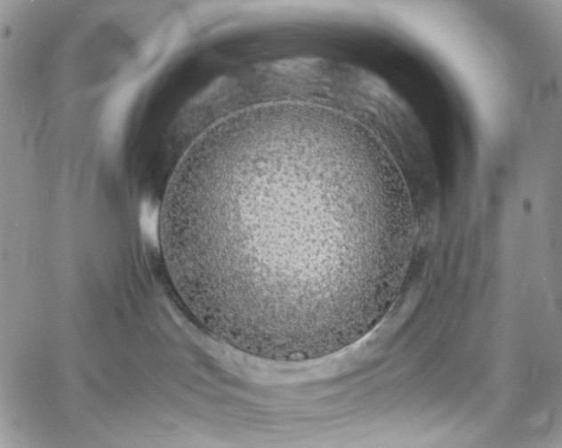 X0000060780047200511171254