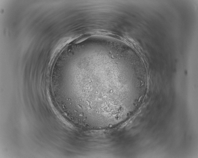 X0000060780049200511171253