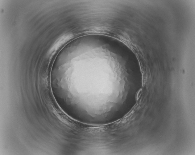 X0000060780050200511171253