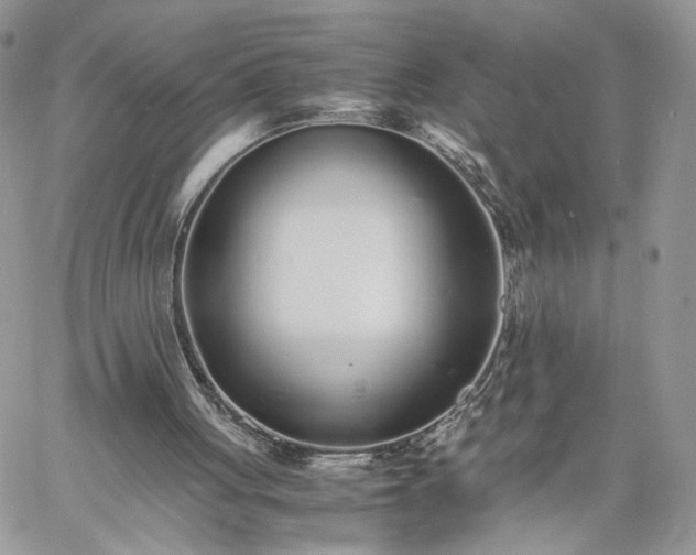 X0000060780051200511171253