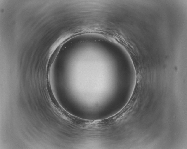 X0000060780052200511171253