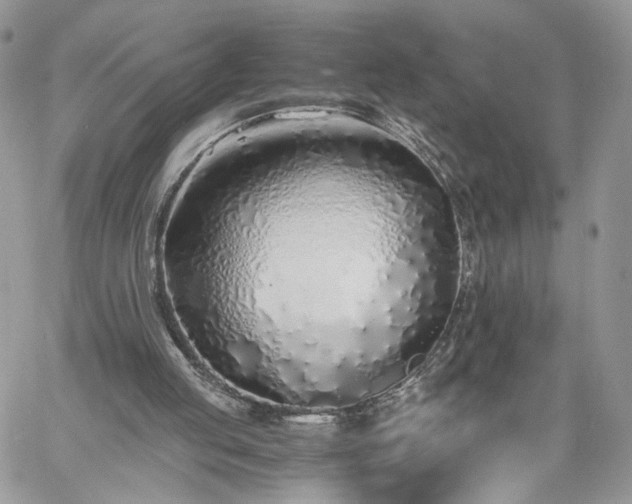 X0000060780053200511171253