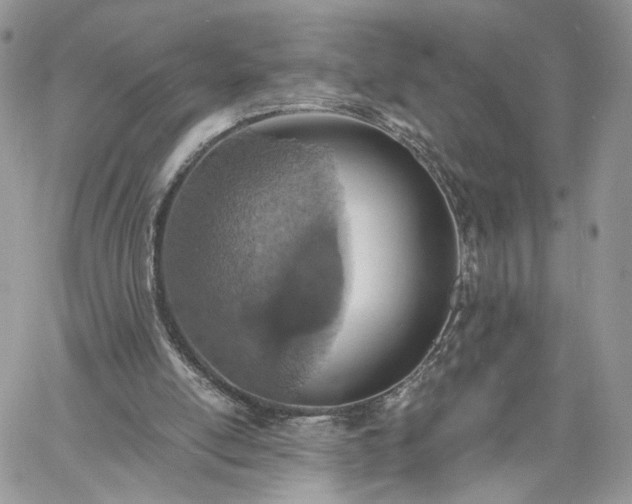 X0000060780054200511171253