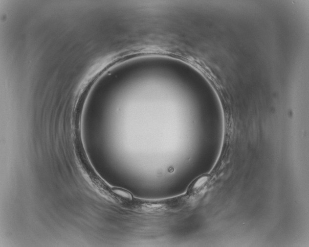 X0000060780055200511171253