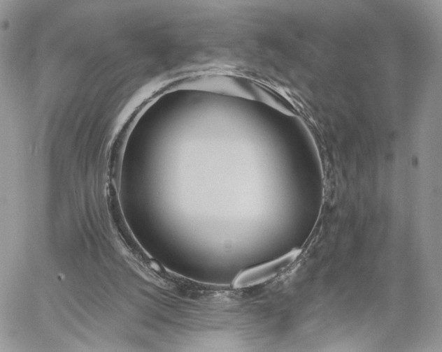 X0000060780056200511171253