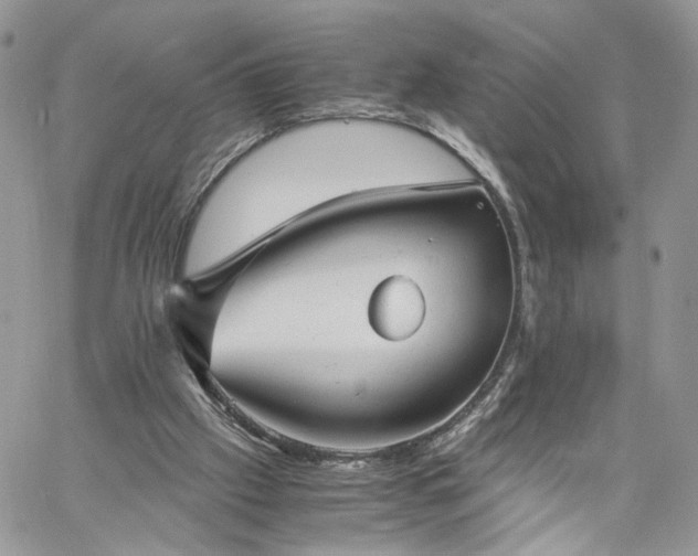 X0000060780057200511171253