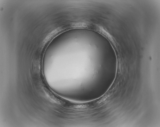 X0000060780059200511171253