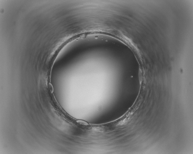 X0000060780060200511171253