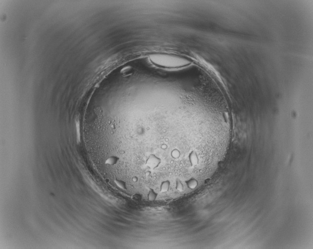 X0000060780061200511171253