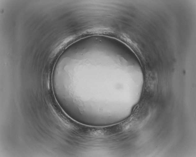 X0000060780062200511171253