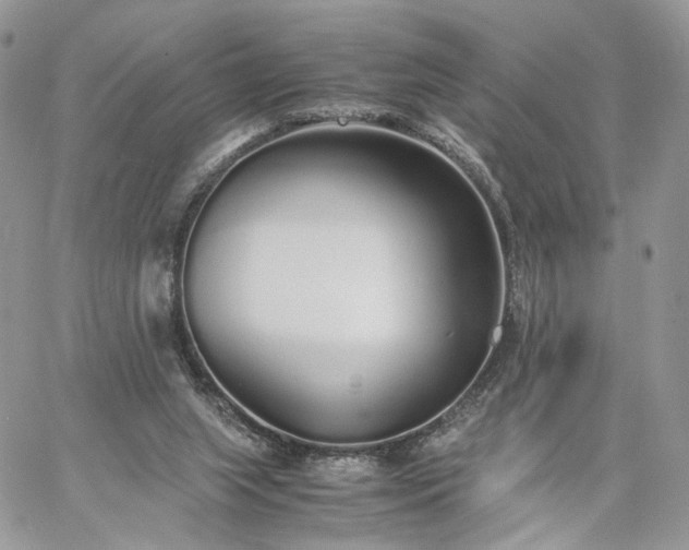 X0000060780063200511171253