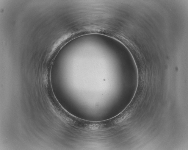 X0000060780064200511171253