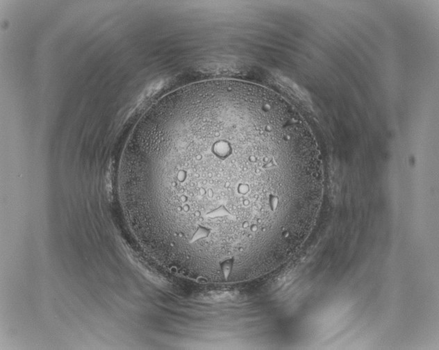 X0000060780065200511171253