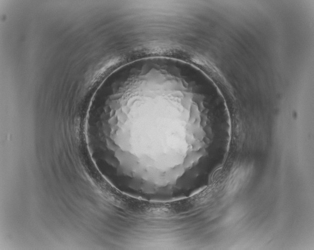 X0000060780066200511171253