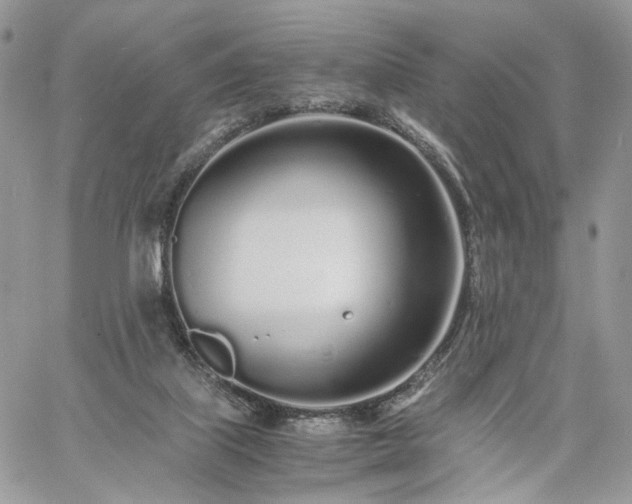 X0000060780067200511171253