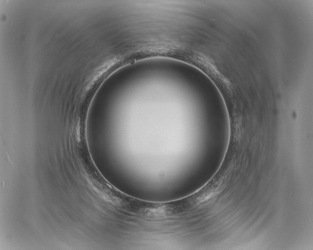 X0000060780068200511171253