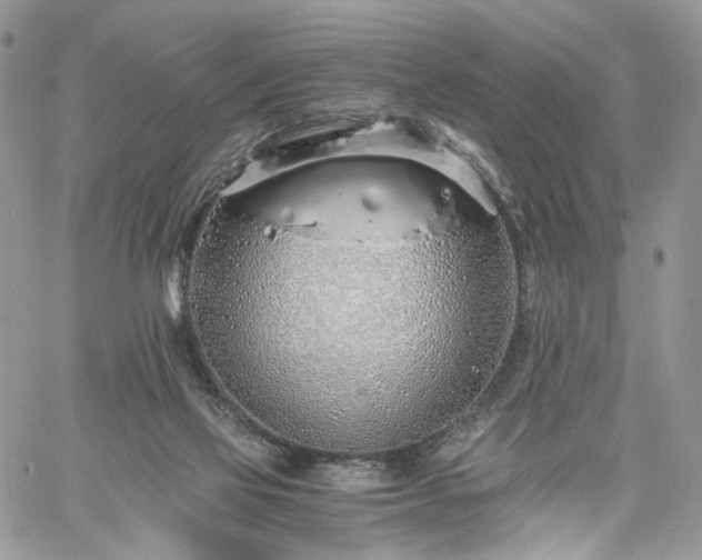 X0000060780069200511171253