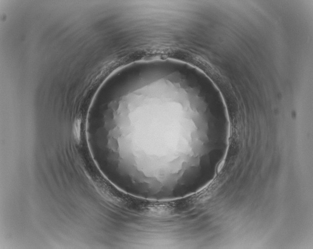 X0000060780070200511171253