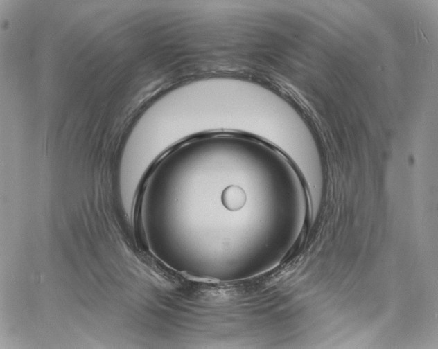 X0000060780071200511171253