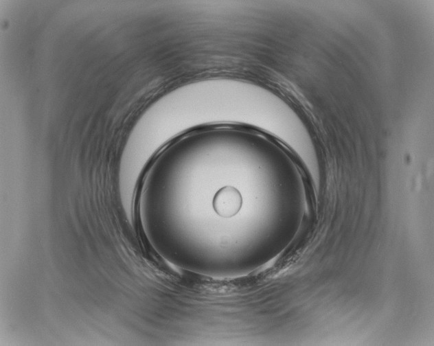 X0000060780073200511171253