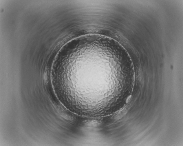 X0000060780074200511171253