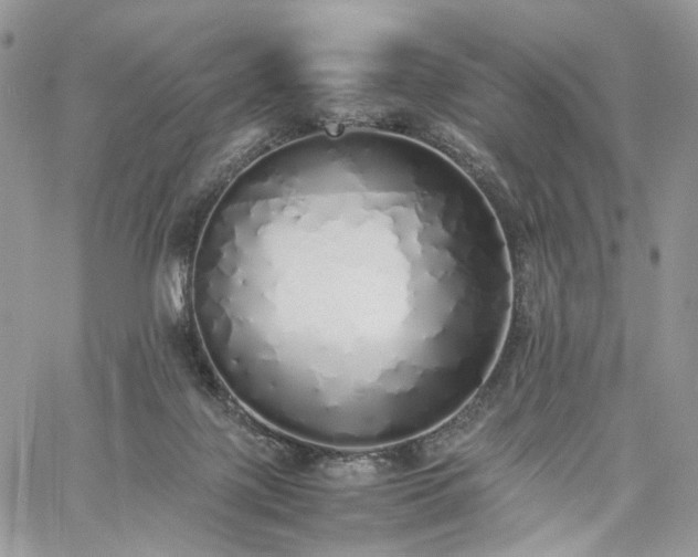 X0000060780075200511171253