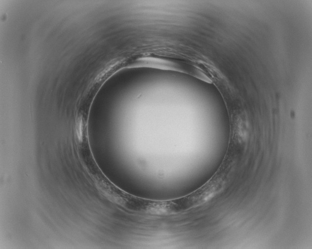 X0000060780076200511171253