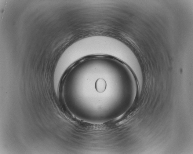 X0000060780077200511171253