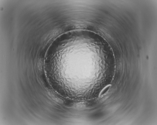 X0000060780078200511171253