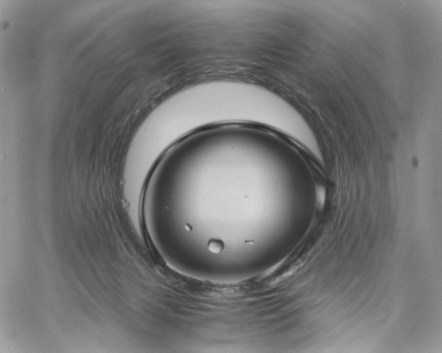 X0000060780079200511171253