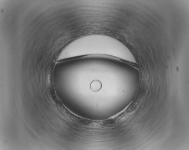 X0000060780080200511171253