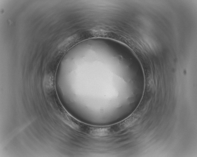 X0000060780081200511171253