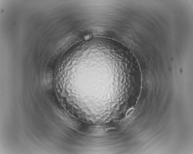 X0000060780082200511171253