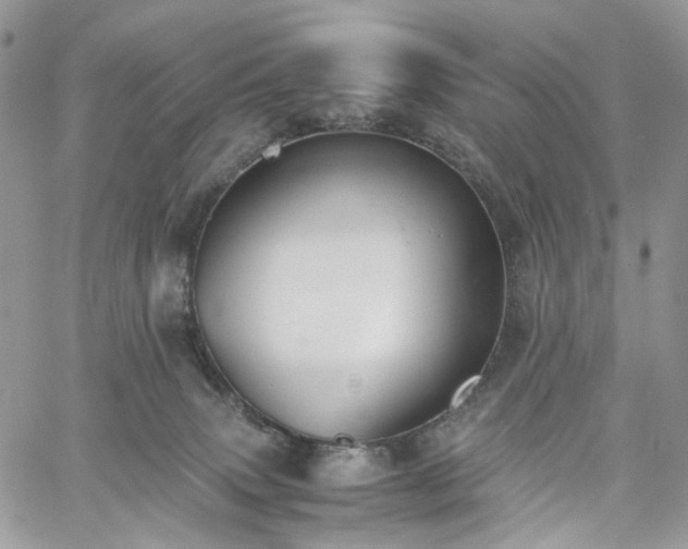 X0000060780083200511171253