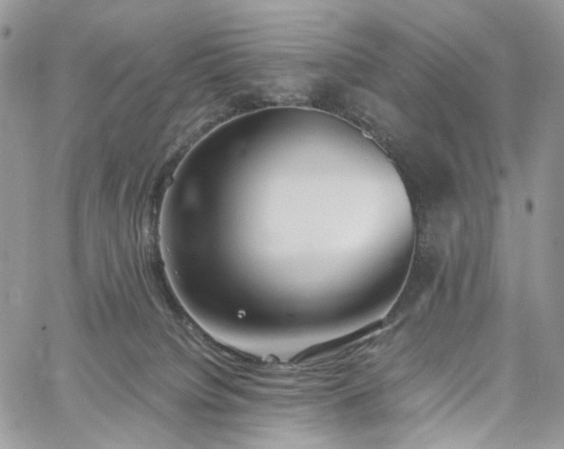 X0000060780084200511171254