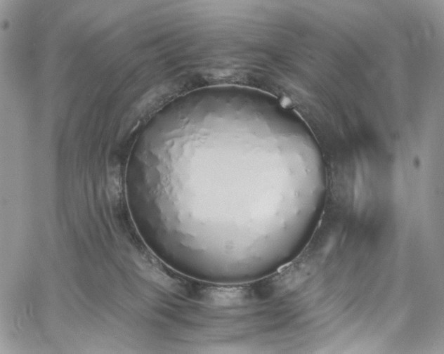 X0000060780085200511171254