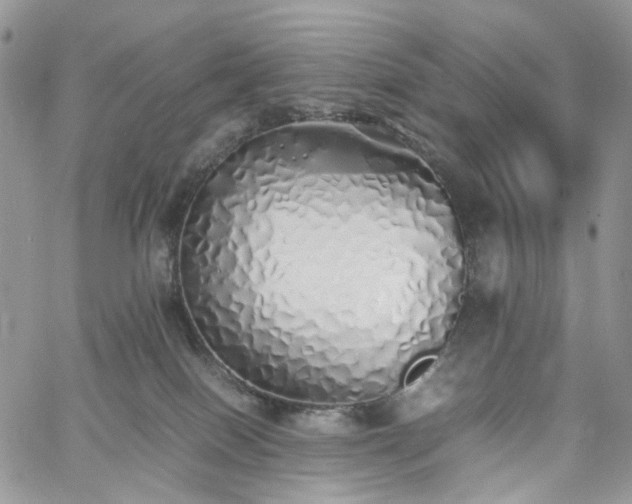 X0000060780086200511171254