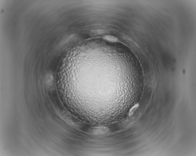 X0000060780087200511171254