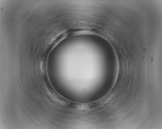 X0000060780088200511171254