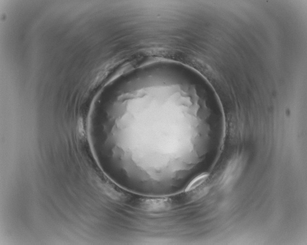 X0000060780089200511171254