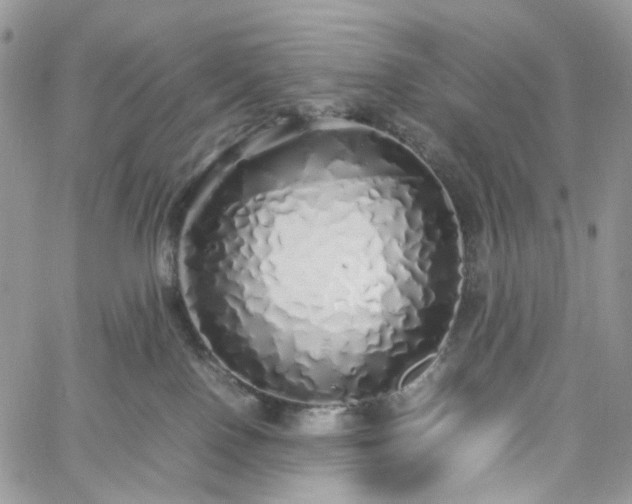 X0000060780090200511171254