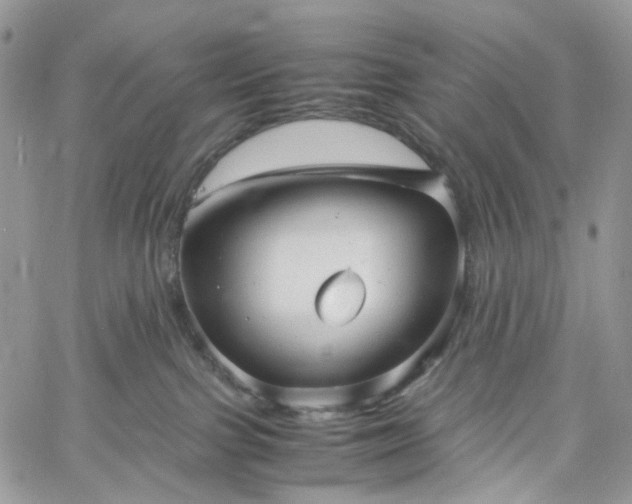 X0000060780091200511171254